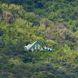 een huis aan de zijkant van een heuvel met bomen bij Islandwide G camping in Kurunegala