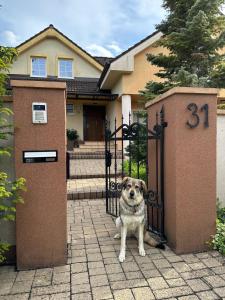 a dog sitting in front of a gate in front of a house at Apartmán pod lesom in Bojnice