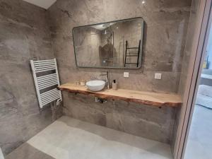 uma casa de banho com um lavatório e um espelho em Appartement d'une chambre avec jacuzzi terrasse et wifi a Duppigheim em Duppigheim