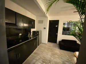 a kitchen with black cabinets and a potted plant at Apartamento santa marta LE’More in Santa Marta