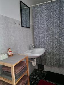 Un baño con lavabo y cortina de ducha. en Natur- & Erlebnis Ferienhaus, en Voitsberg