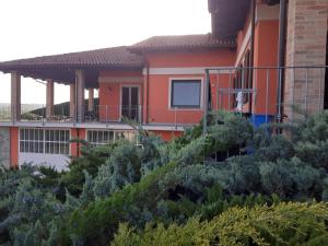 A garden outside Villa Sofia