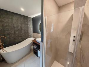ein Badezimmer mit Badewanne und Dusche in der Unterkunft Domaine de L'isle Maniere in Saint-Quentin-sur-le-Homme