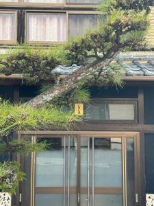 a tree on the roof of a building at 敷島旅館 in Saijo
