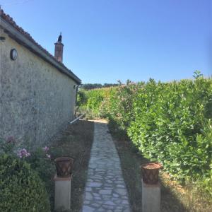 Zahrada ubytování Gîte Rozies Dunes 9 p