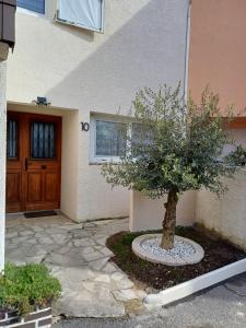 a tree in front of a building with a door at The Cosy House - votre havre de paix avec jardin privé in Lisses