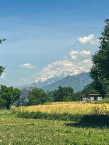Fotografie z fotogalerie ubytování Destination Bir v destinaci Bir