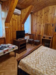 Schlafzimmer mit einem Bett, einem Schreibtisch und einem TV in der Unterkunft Nautilus in Odessa