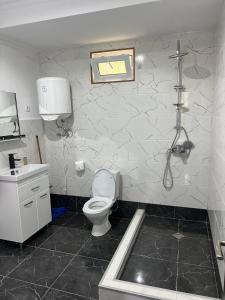 a bathroom with a toilet and a sink and a shower at Garden house in Ambrolauri