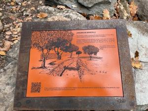 a interpretive sign on a rock with trees at U FARNIENTE in Patrimonio