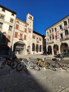 Jízda na kole v ubytování Torre Cà Emo, la Mansarda di Serravalle nebo okolí