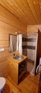 ein Badezimmer mit Waschbecken in einer Holzhütte in der Unterkunft La Blache in Saint-Sylvestre