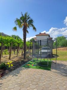 a gazebo with a palm tree in a park at Lazarov Apartments in Nov Dojran +9 photos