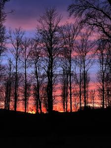 EbernにあるFeWo Lotos im idyllischen Schlosshof in Frankenのギャラリーの写真 +12枚の写真