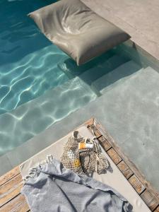 奧林匹亞達的住宿－Aristotelia Gi - Premium Luxury Villas with Private Pools，坐在游泳池旁桌子上的鸟儿