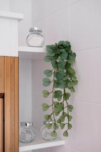 a green plant in a glass vase on a shelf at Acquaterra in Polignano a Mare +37 photos