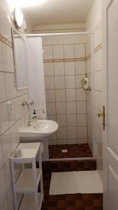 Koupelna v ubytování Modrá růže Třeboň + 29 fotografií