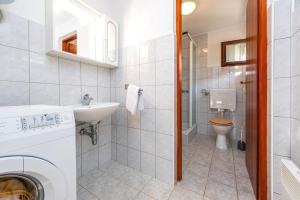 bagno con lavatrice e servizi igienici di Guesthouse Diva Grabovčeva a Perušić