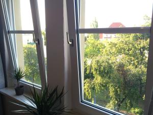 una ventana con dos macetas en una habitación en Citywohnungen Halle an der Saale, en Halle an der Saale