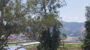 a view of a city from behind a tree at SV RESIDENCY in Ooty