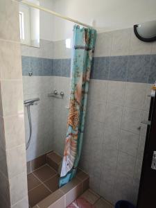 a shower with a shower curtain in a bathroom at Jázmin vendégház Bogács in Bogács