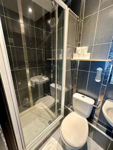 een badkamer met een douche, een toilet en een wastafel bij Hotel Victor Hugo in Clamart