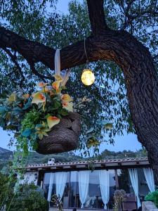 un árbol con una cesta de flores colgando de él en Apartamentos Turísticos Rurales ENTRESIERRAS, en Cazorla