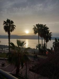 a view of a beach with palm trees and the ocean at Casa Galileo in Reggio di Calabria