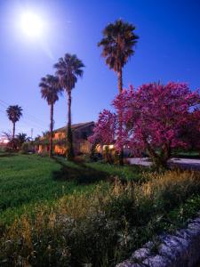 A garden outside Embat - Hostel