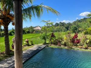 a swimming pool in a garden with a palm tree at Pondok Apsari 2 in Singaraja