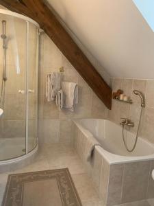 een badkamer met een bad en een douche bij Itha’s secret escape in Langschlag