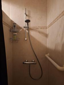 迪南Appartement avec vue sur Meuse的带淋浴喷头的浴室