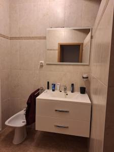 迪南Appartement avec vue sur Meuse的带水槽、马桶和镜子的浴室 更多12张照片