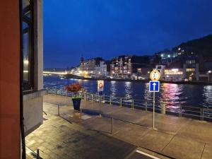 迪南Appartement avec vue sur Meuse的夜间水域景观