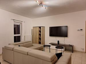 迪南Appartement avec vue sur Meuse的配有沙发和平板电视的客厅