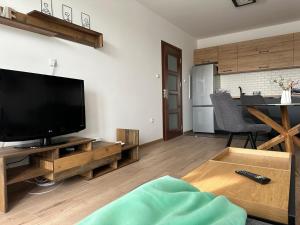 TV a/nebo společenská místnost v ubytování Apartment Valmart City Park