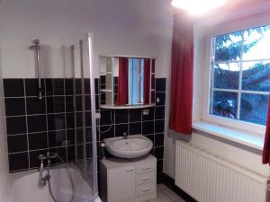 a small bathroom with a sink and a shower at Zum Bothmerschen Krug in Schwarmstedt