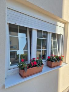two potted plants sitting on a window sill at Pansion Speranza Međugorje in Međugorje