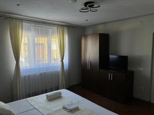 ChişcăuにあるCasa Otiliaのギャラリーの写真