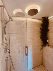 La salle de bains est pourvue d'une cabine de douche en verre. dans l'établissement Chalet JOLUKSI - mit Sprudelbad, à Grindelwald