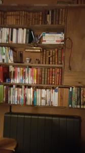 Biblioteka w domu wakacyjnym