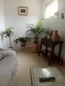 um quarto com vasos de plantas, uma mesa e uma cama em Vista Terraza Illora em Illora