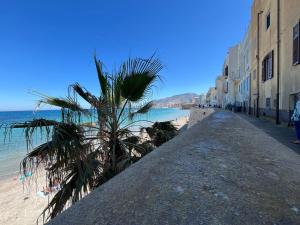 a palm tree on a sidewalk next to the beach at AG SUITE TRAPANI in Trapani
