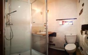 a bathroom with a shower and a toilet and a sink at L'Olive in Saint-Bazile +40 photos