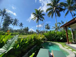 a pool in the backyard of a villa with palm trees at Arvanya Villa Ubud in Tegalalang