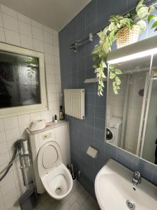 bagno con servizi igienici e lavandino di Stockholm theme home a Stoccolma