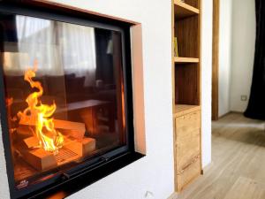 弗利姆斯Spacious Family Apt Flims close to Lake Cauma的相册照片