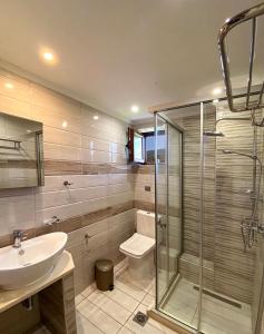 a bathroom with a shower and a sink and a toilet at Tesoro luxury apartments in Sivota