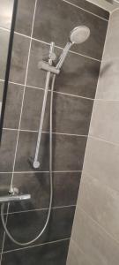 Bilik mandi di Une Chambre dans Appartement partagé, Grenoble à 8 min du centre-ville +11 gambar