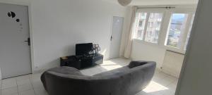 a living room with a couch and a television at Une Chambre dans Appartement - Grenoble, France à 8 min du centre-ville in Grenoble